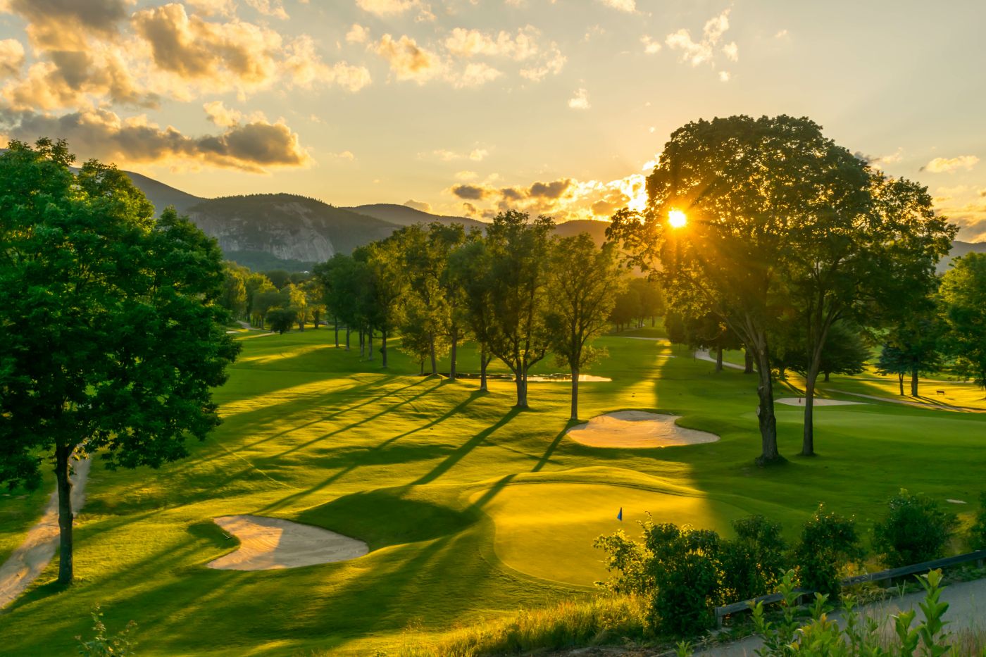 Golf Hero Image